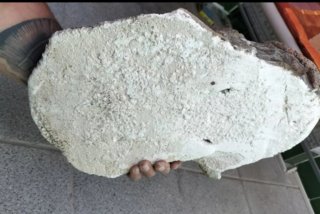 Antiguo Relieve Ecce Homo Escayola Polícroma