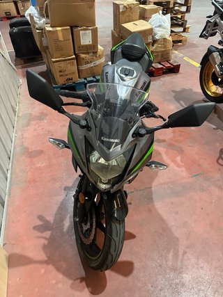 Kawasaki Ninja 125 Gris/Verde