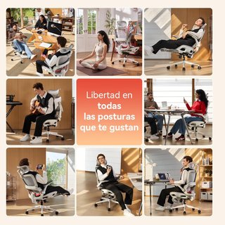 Silla ergonómica SIHOO B100 Pro gris/blanca nueva