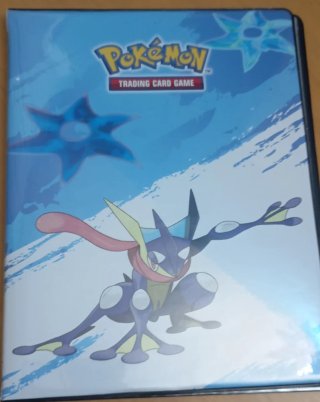 Álbum pokemon con cartas