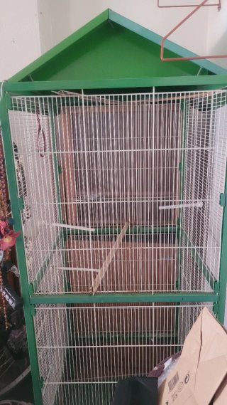Jaula para loro grande
