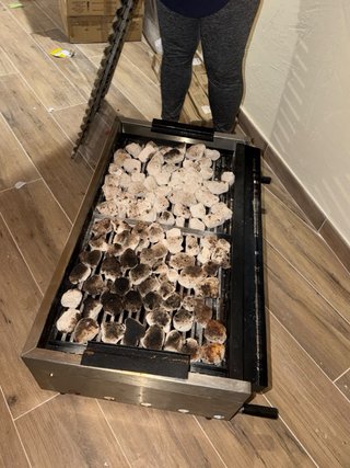 Parrilla Gas Piedra Volcánica