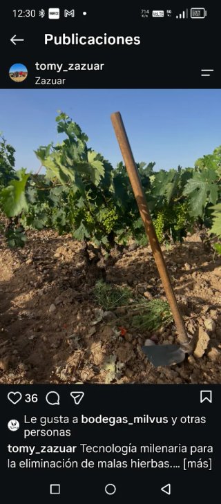 Viñedos en venta