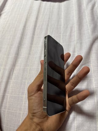 iPhone 12 Pro Blanco Plata