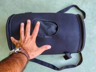 Transportín para gato
