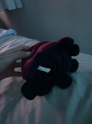 Peluche Pulpo