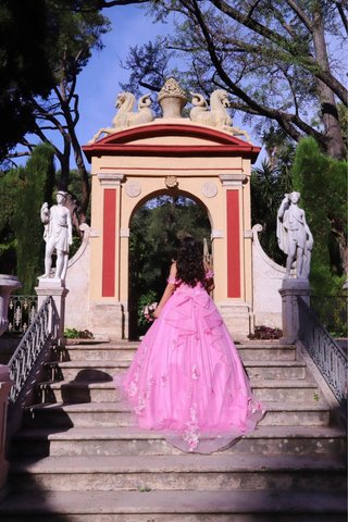 Vestido Quinceañera Rosa Usado 4 Horas