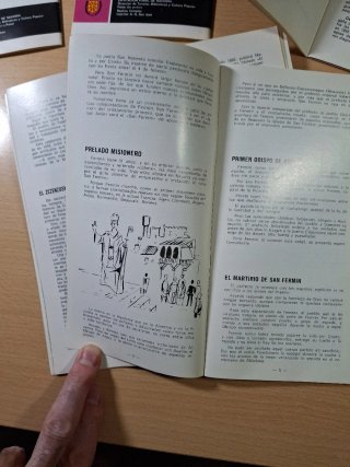 5 Guías Navarra Temas de Cultura popular. Pamplona