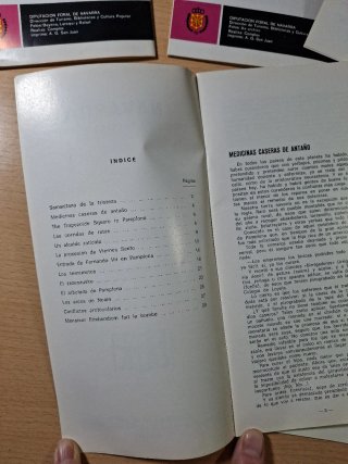 5 Guías Navarra Temas de Cultura popular. Pamplona