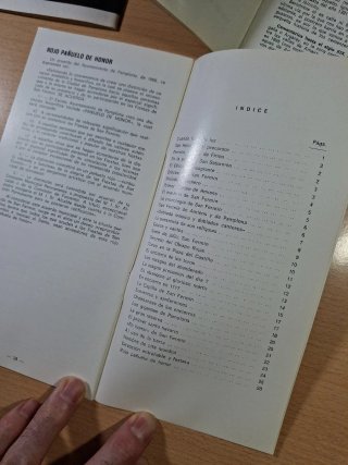 5 Guías Navarra Temas de Cultura popular. Pamplona