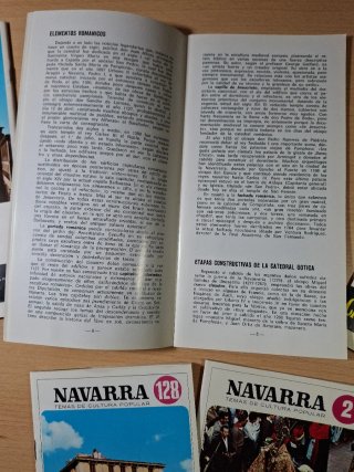 5 Guías Navarra Temas de Cultura popular. Pamplona