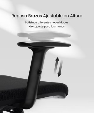 Silla Ergonómica FlexiSpot BS3 Negra