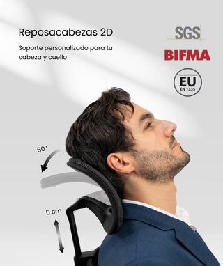 Silla Ergonómica FlexiSpot BS3 Negra