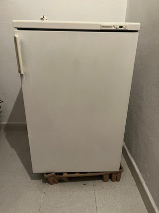 Congelador Zanussi bajo encimera