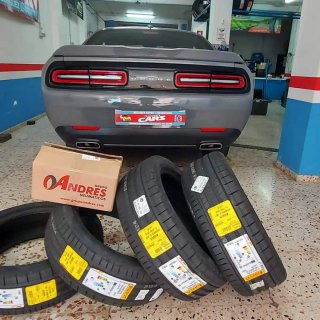 Dodge Challenger  2019