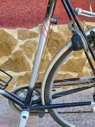 Bicicleta Koga Miyata Holandesa
