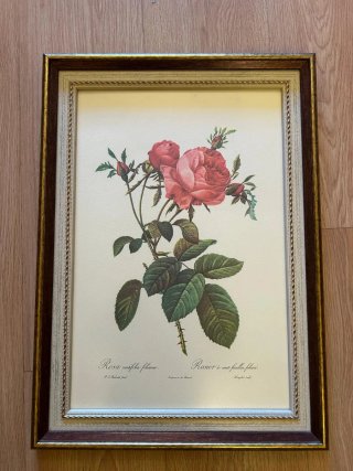 Lámina de rosas con marco de madera