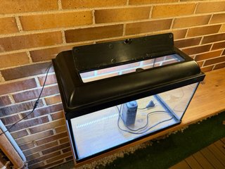 Acuario 45 Litros con Luz led y Filtro