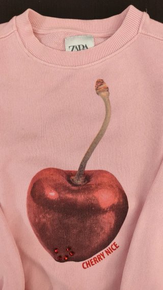 Sudadera Zara niña rosa T 8-9