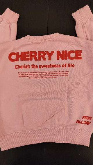 Sudadera Zara niña rosa T 8-9