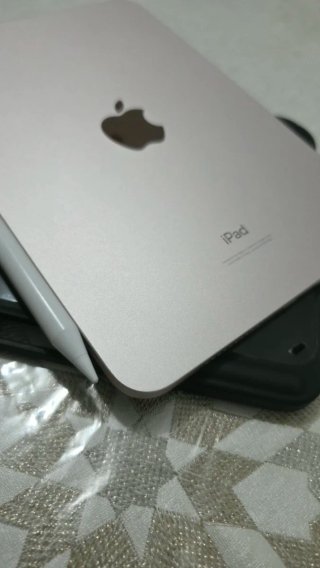 iPad mini 6ª gen 256GB 98% Batería