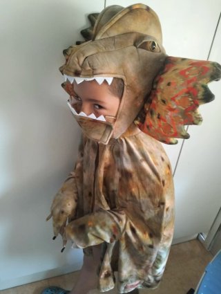 Disfraz/capa de dinosaurio con capucha