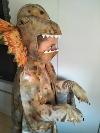 Disfraz/capa de dinosaurio con capucha