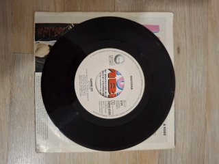 Madonna Gambler Vinilo