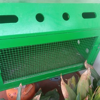 Transportín perro