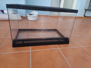 Terrario de vidro y negro