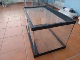 Terrario de vidro y negro
