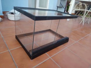 Terrario de vidro y negro