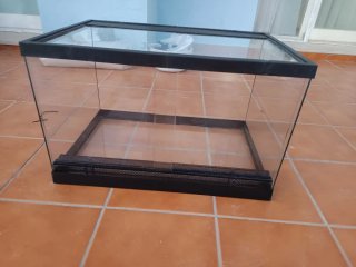 Terrario de vidro y negro
