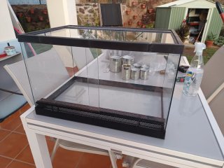 Terrario de vidro y negro
