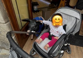 Bugaboo Fox 3 + Silla Coche Turtle