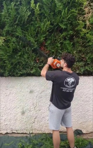Jardinero