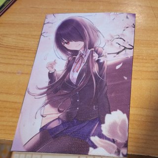 Póster Tela Kurumi A6