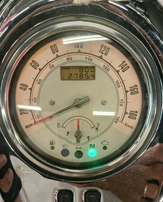 Yamaha XV 1600 Wild Star