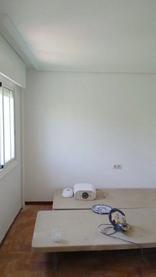 Pintura Blanca
