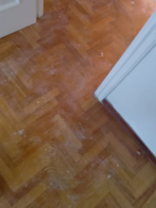 Pintura Blanca