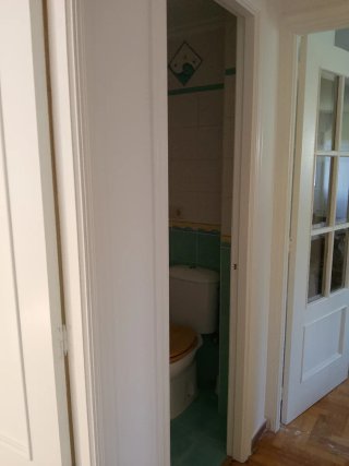 Pintura Blanca