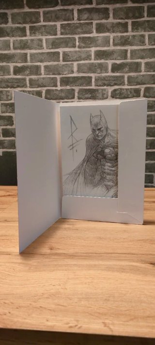 Portfolio DC y Marvel de Riccardo Federici
