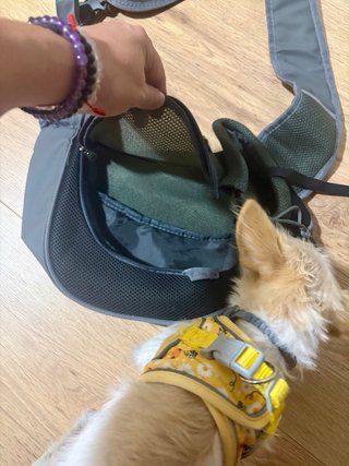 Mochila transportín perro gris y verde