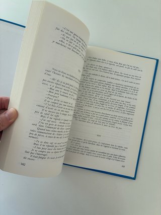 Libro El Principito bilingüe Español-Francés