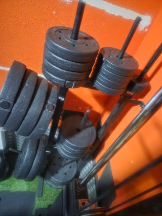 Soporte para discos de gimnasio y discos