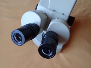 Microscopio Binocular Motic Zoom y camara