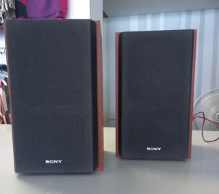 Altavoces Sony Negros y Marrones
