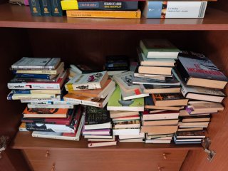Lote de libros