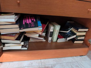 Lote de libros