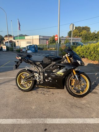 Triumph Daytona 675 Negra y Dorada